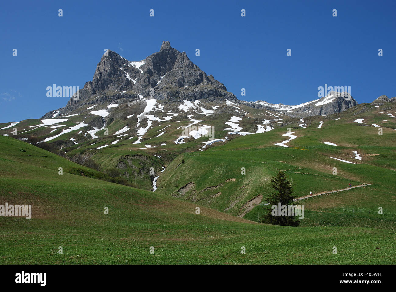 Alpi, Austria, Foto Stock