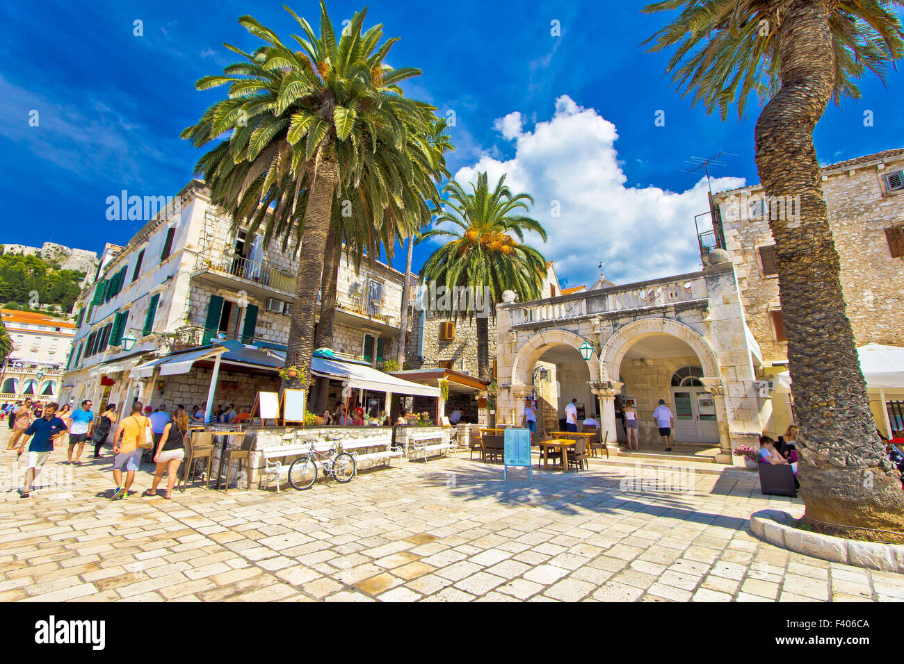 Città di Hvar palm promenade Foto Stock
