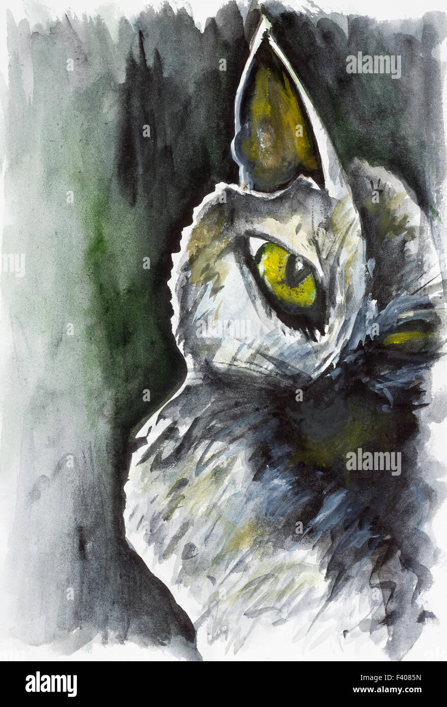 Anima di gatto balck Foto Stock