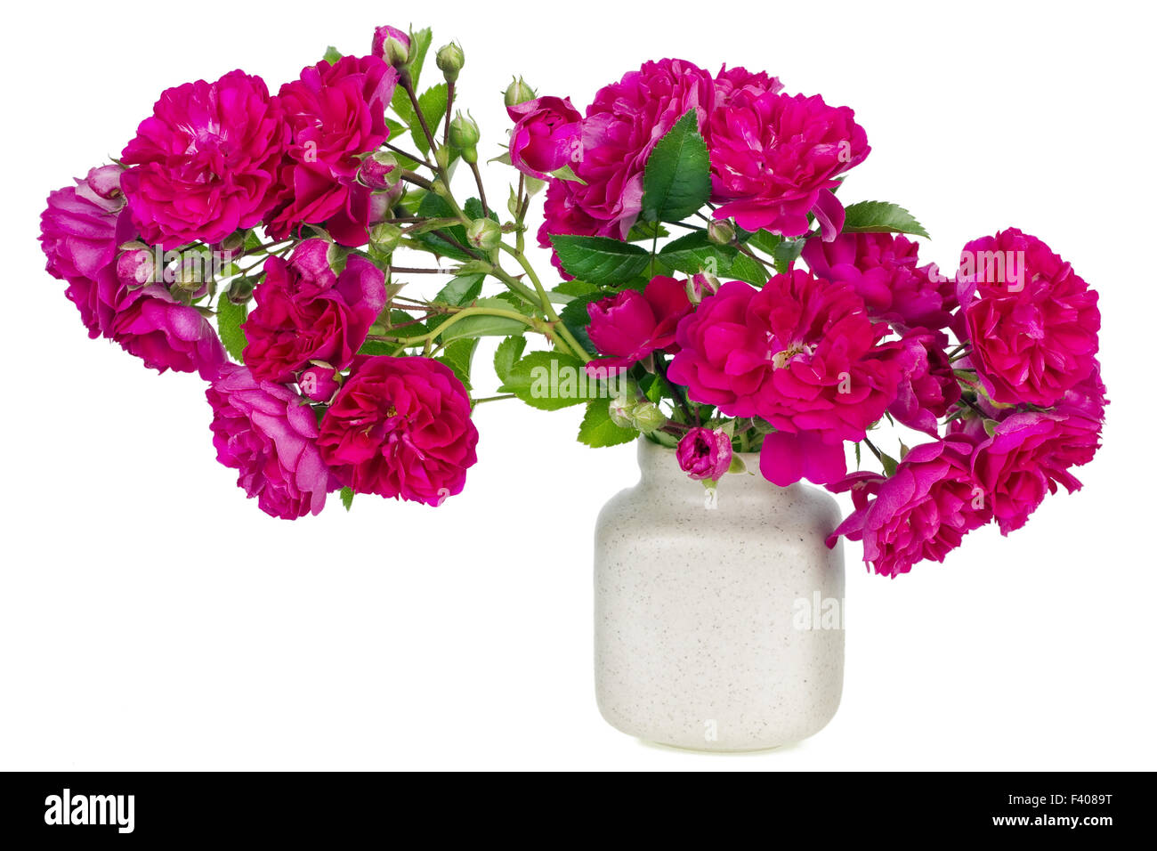 In stile minimalista floreale composizione rosa Foto Stock