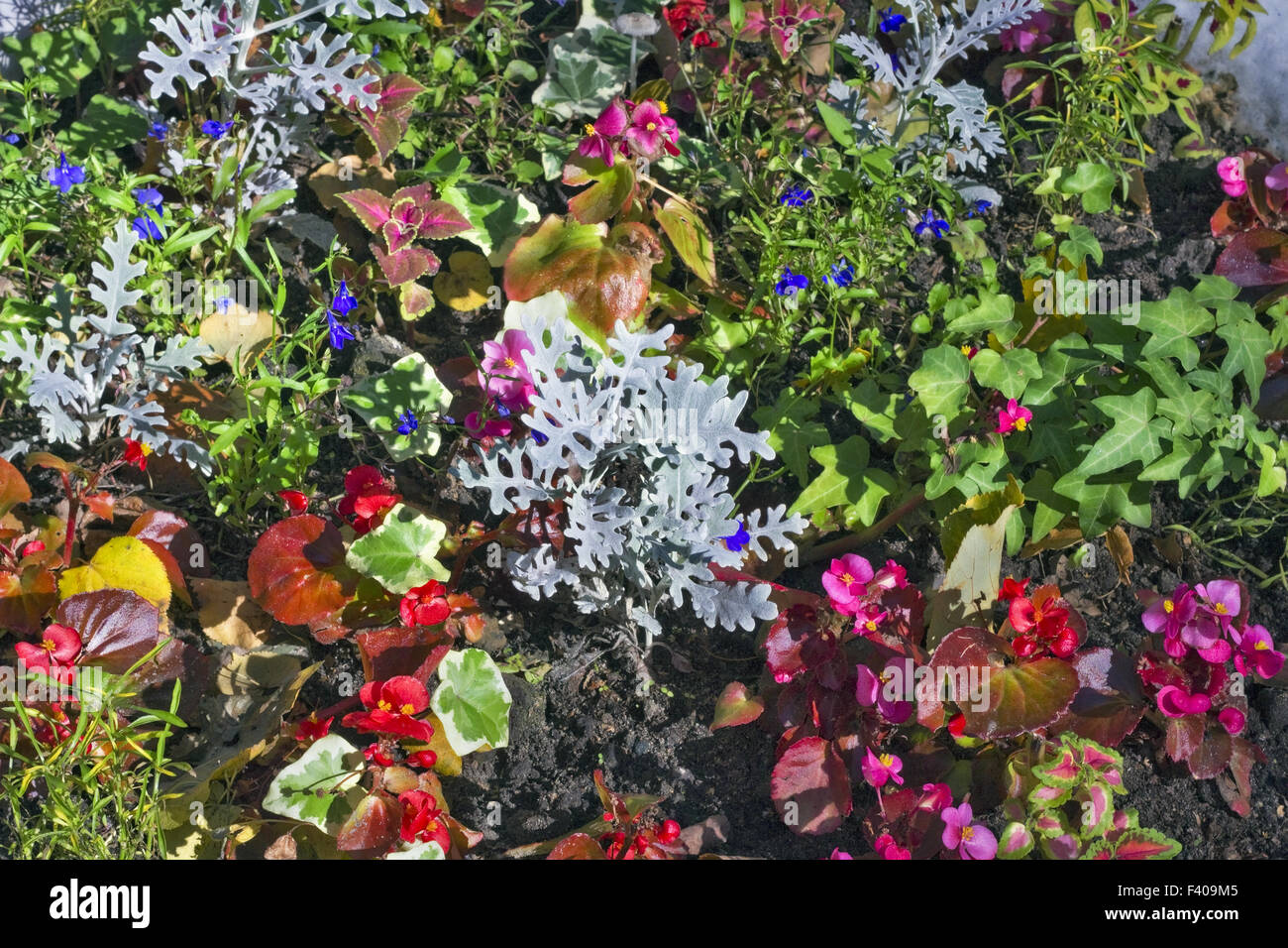 Caos floreali concept Foto Stock