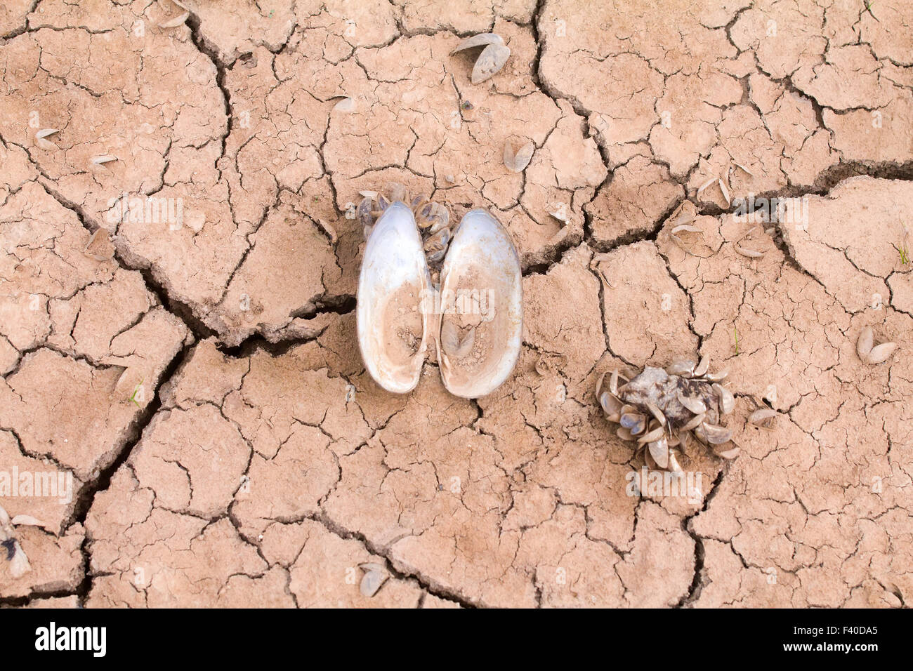 Mare siccità cambiamento di clima acqua di calore Foto Stock