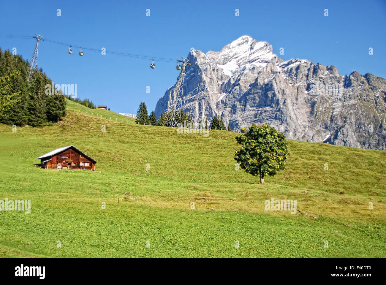 Alpi svizzere Foto Stock