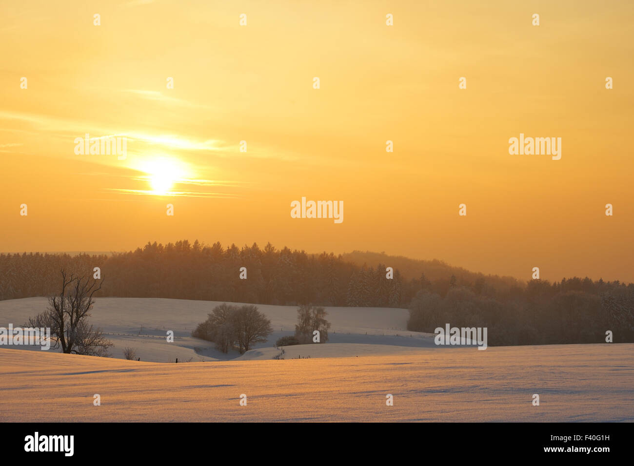 Inverno Foto Stock