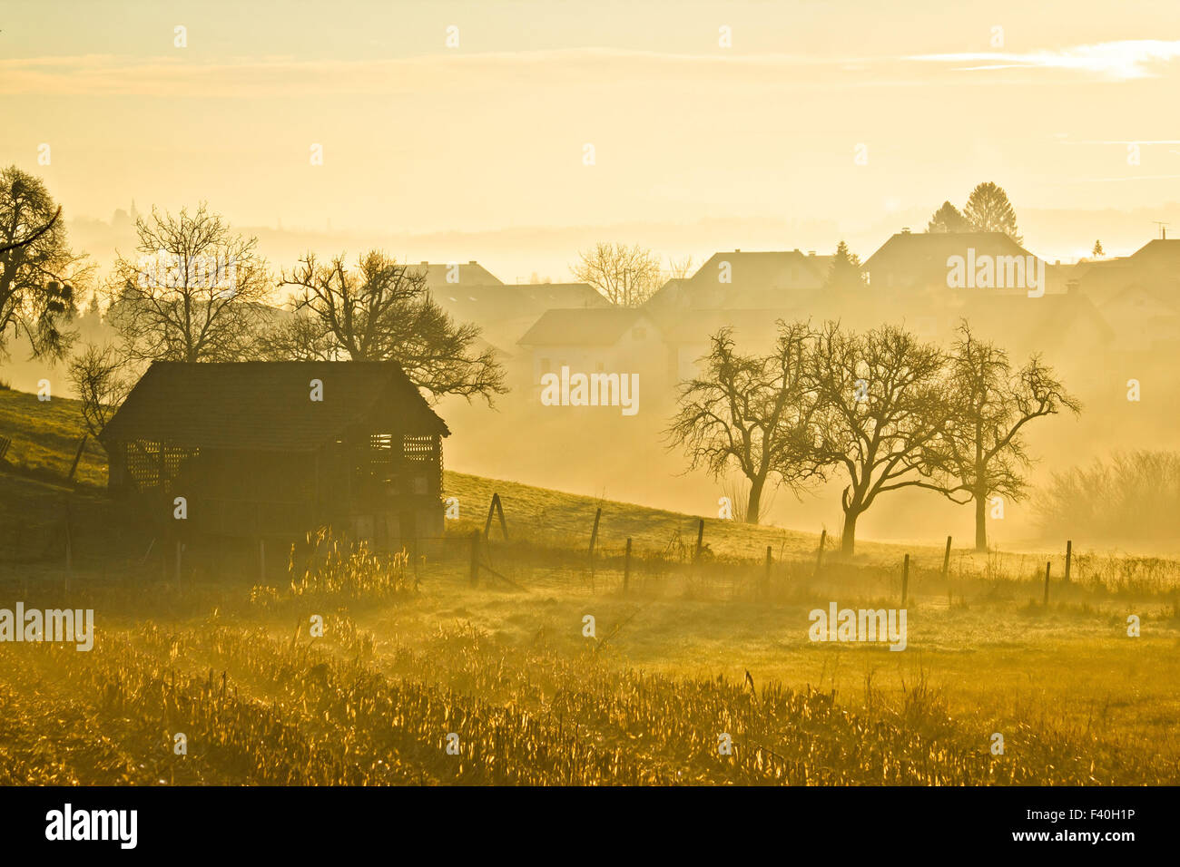 Paesaggio di campagna golden nebbia di mattina Foto Stock