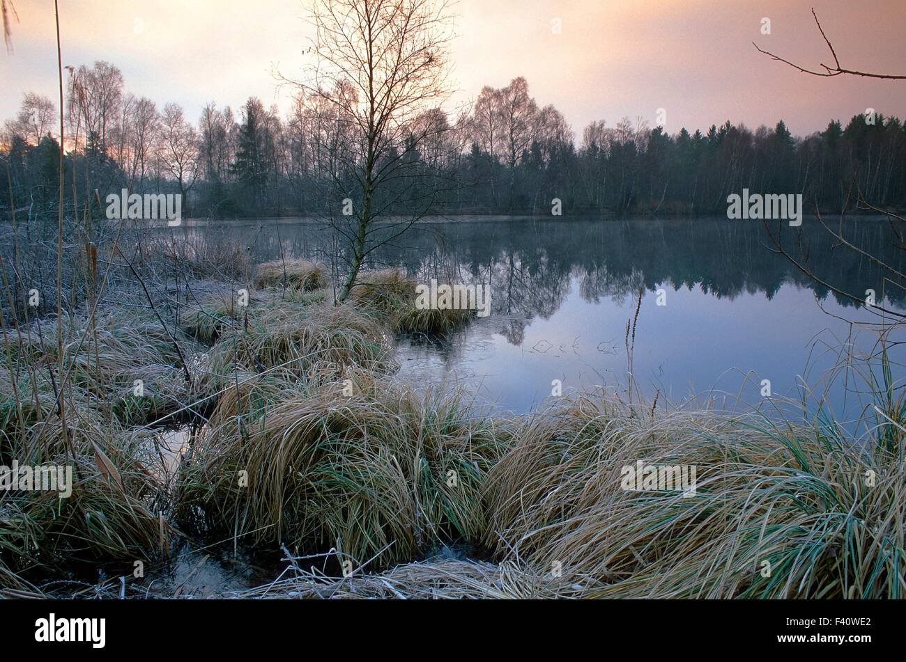 Marsh, lago, Moor, Alta Svevia Foto Stock