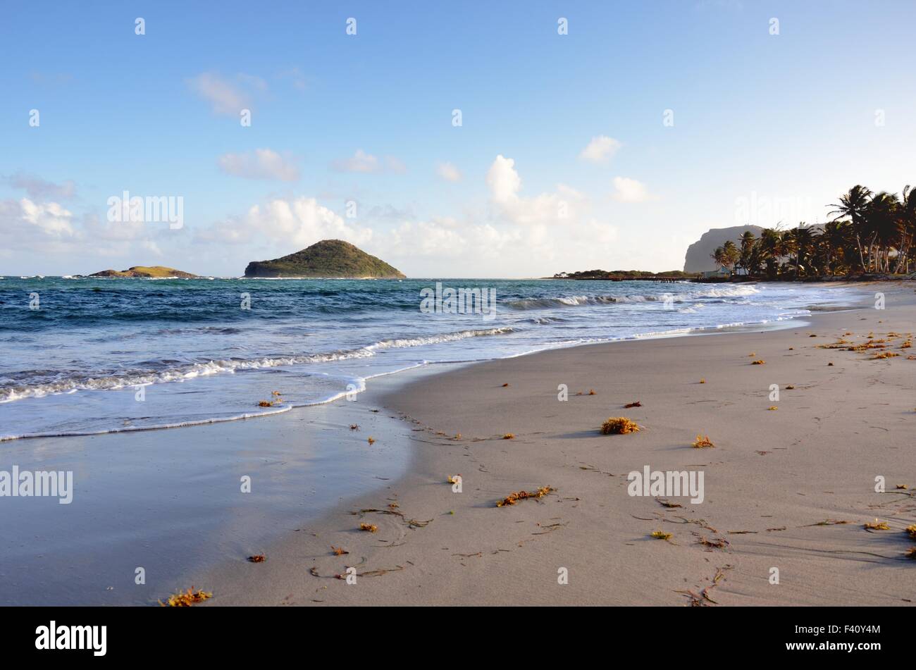 Sulla spiaggia di isola dei Caraibi Foto Stock