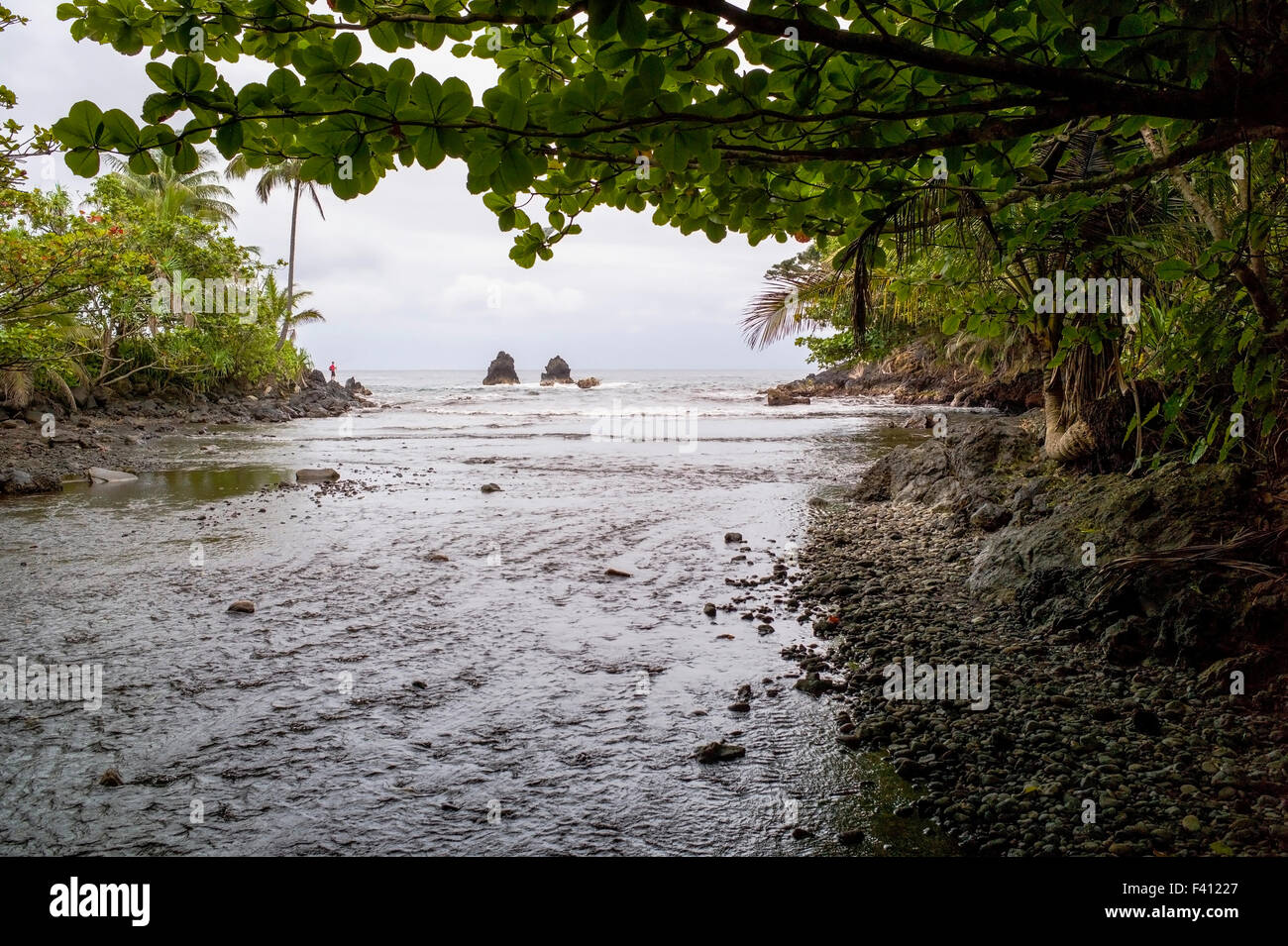 Fisherman, asino Trail, flusso Onomea si svuota nel Oceano Pacifico, Onomea Bay, Big Island delle Hawai'i, Hawaii, STATI UNITI D'AMERICA Foto Stock