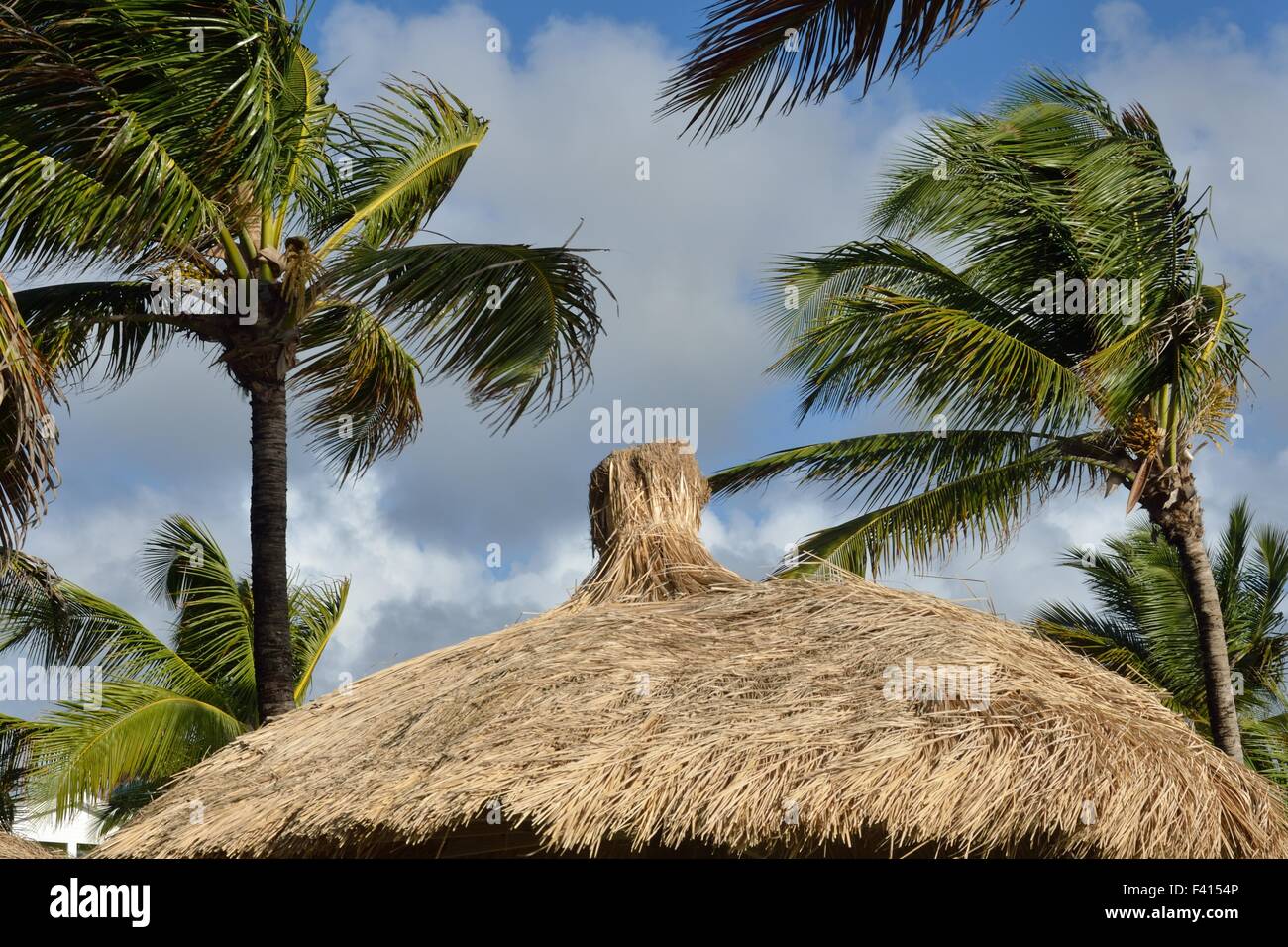 Caraibi tetto di paglia con palme Foto Stock
