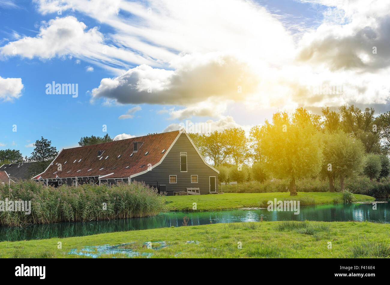 Azienda agricola olandese. Foto Stock