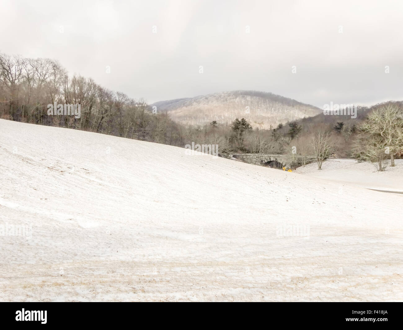 Bosco innevato paesaggio durante il periodo invernale Foto Stock