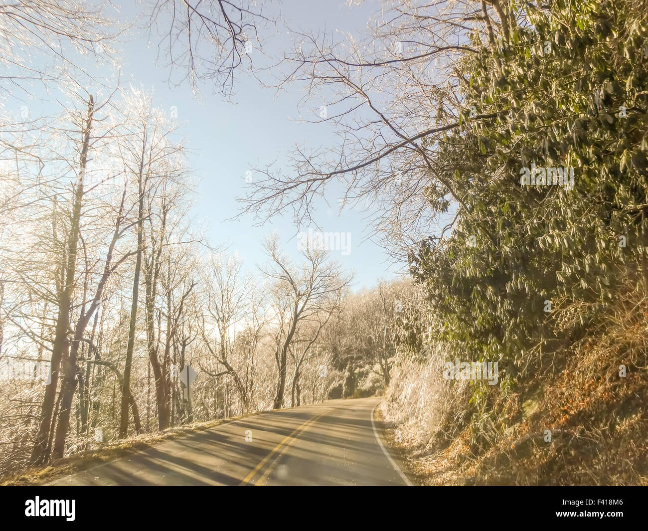 Bosco innevato paesaggio durante il periodo invernale Foto Stock