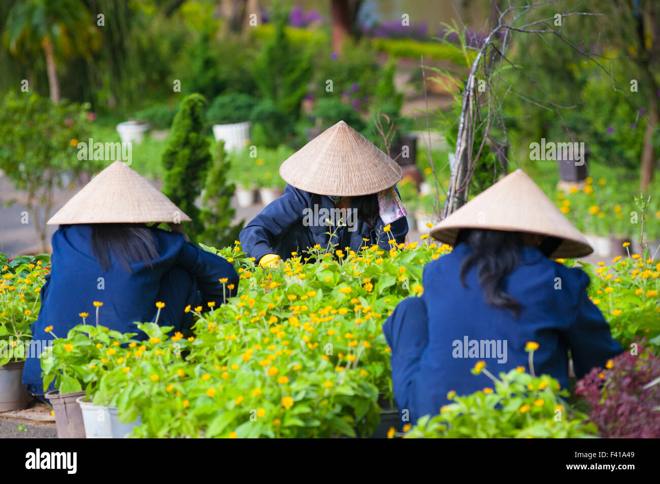 Tre donne vietnamita lavorare in giardino Foto Stock