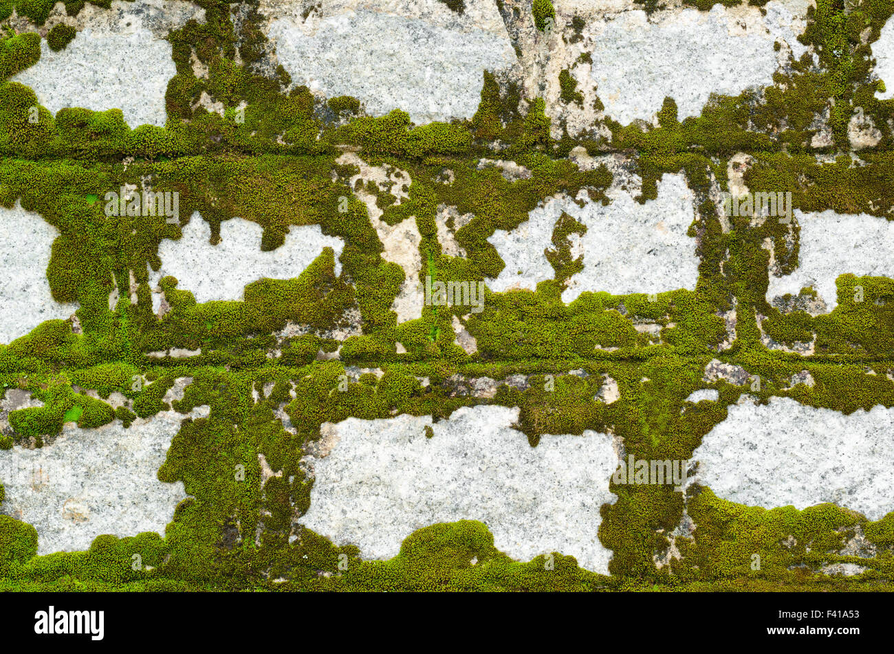 Muro di pietra ricoperta di licheni Foto Stock