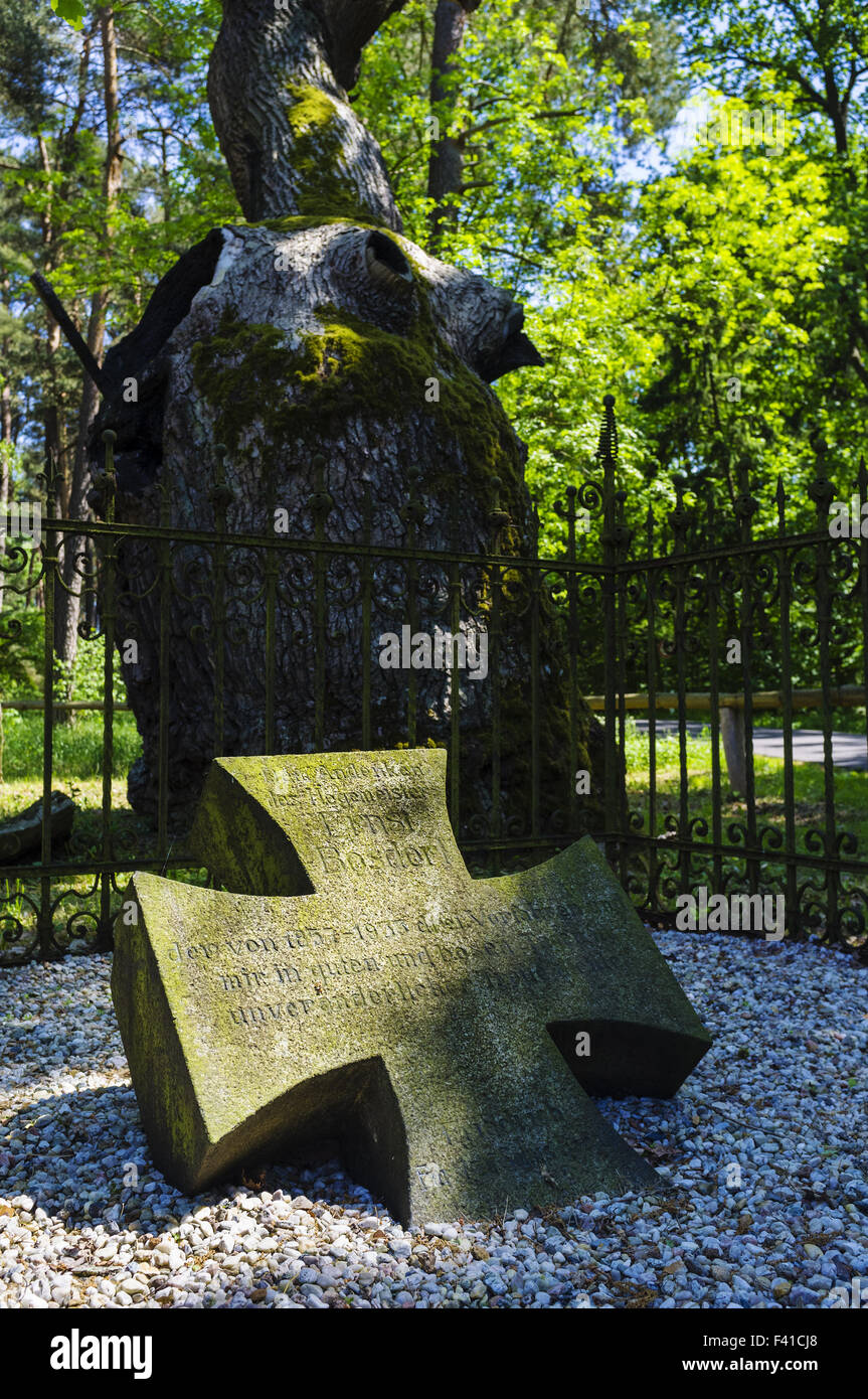 Lapide a Bosdorf Oak Foto Stock