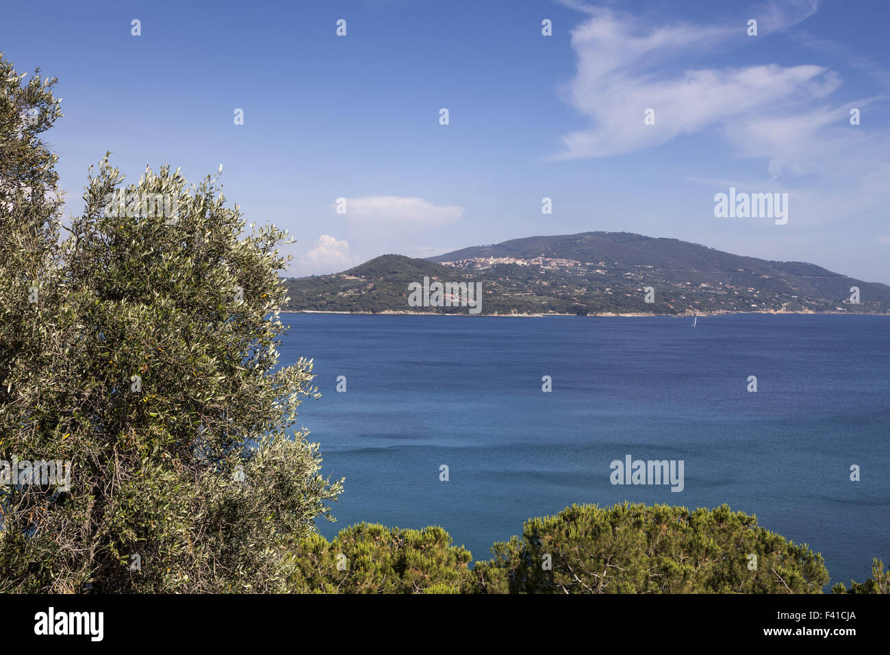 La costa vicino a Lacona, Isola d'Elba, Italia Foto Stock