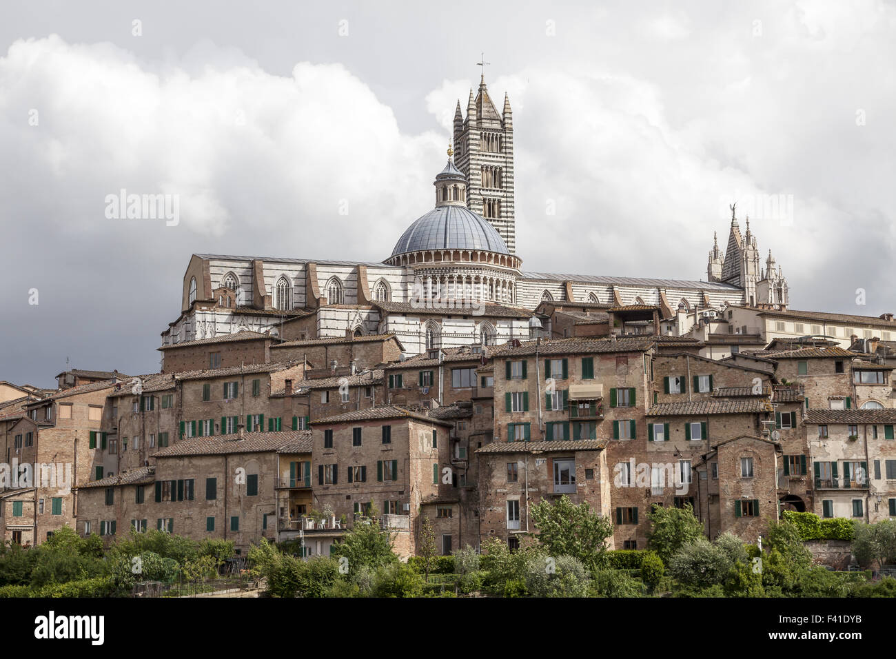 Siena, Cattedrale di Santa Maria Assunta, Italia Foto Stock