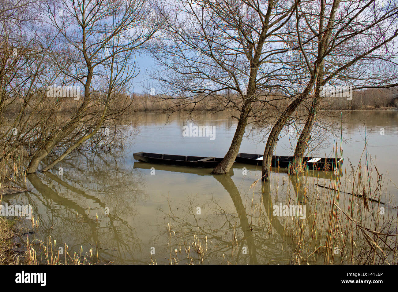 Barche in legno sul fiume Drava Foto Stock