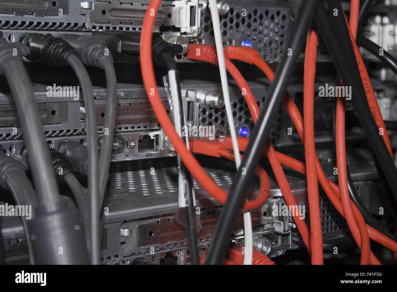 I cavi di rete nel retro di un server Foto Stock