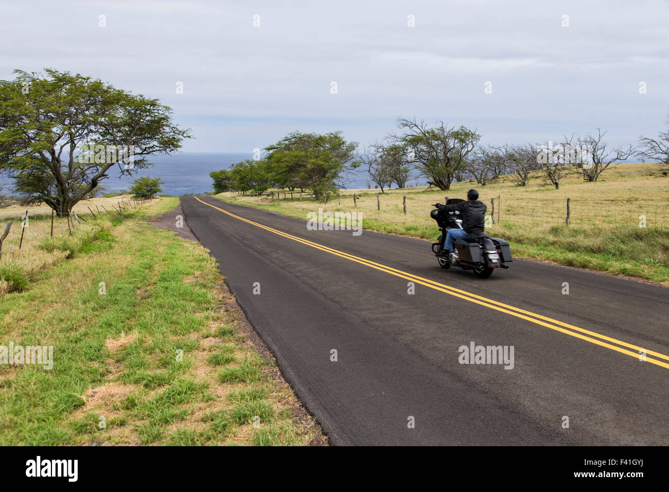Motociclista a cavallo lungo la Costa di Kohala, Big Island delle Hawai'i, Hawai'i, STATI UNITI D'AMERICA Foto Stock
