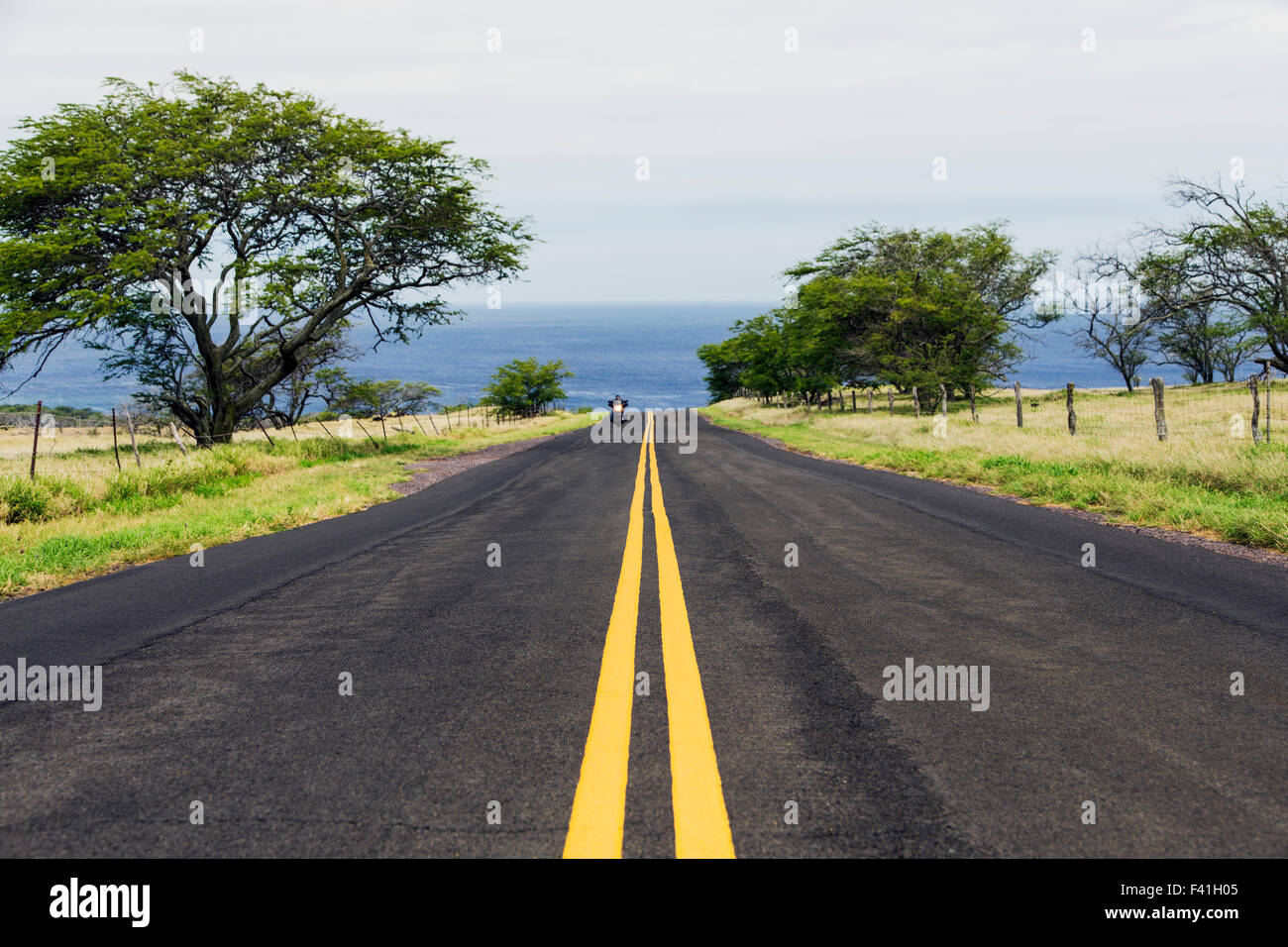 Motociclista a cavallo lungo la Costa di Kohala, Big Island delle Hawai'i, Hawai'i, STATI UNITI D'AMERICA Foto Stock