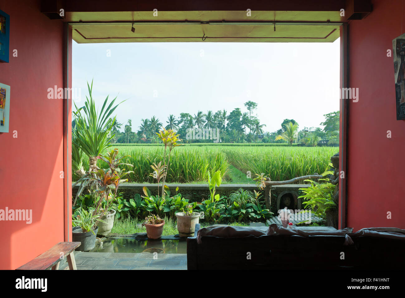 Vista dal cafe su terrazze di riso nel centro di Ubud, Bali, Indonesia Foto Stock