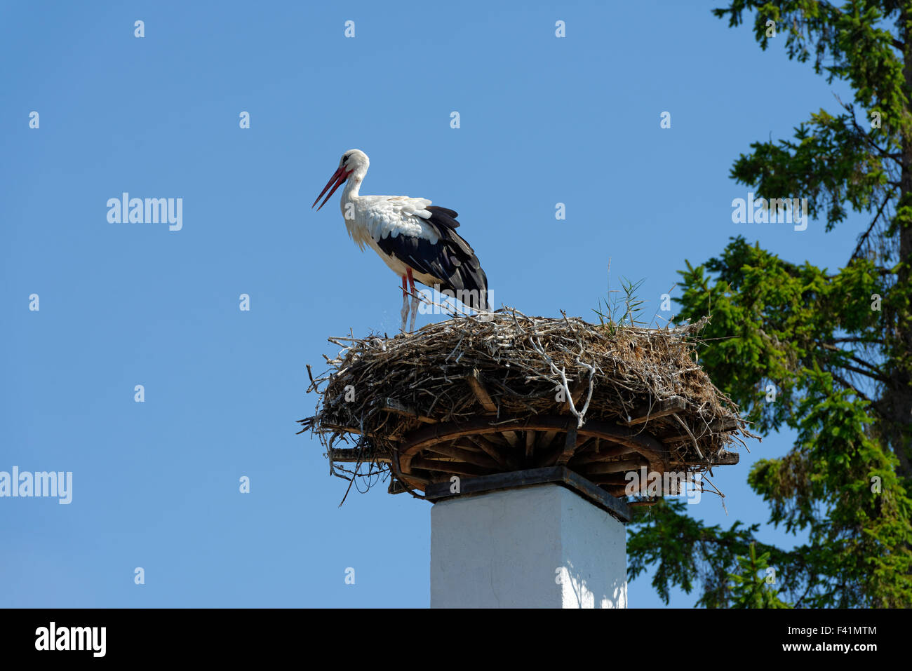 Stork's Nest sul camino, cicogna bianca (Ciconia ciconia), Hufnagl House, Apetlon, nel Parco Nazionale del lago di Neusiedl, Seewinkel Foto Stock