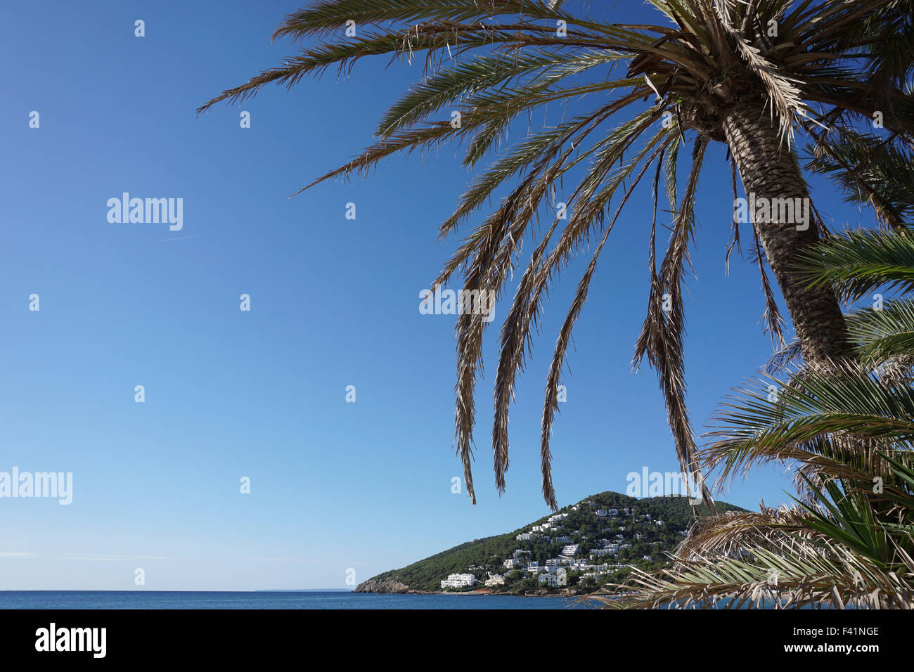 Vista di palme e mare dal lungomare di Santa Eulària des Riu" "Santa Eulalia del Río" Ibiza Foto Stock