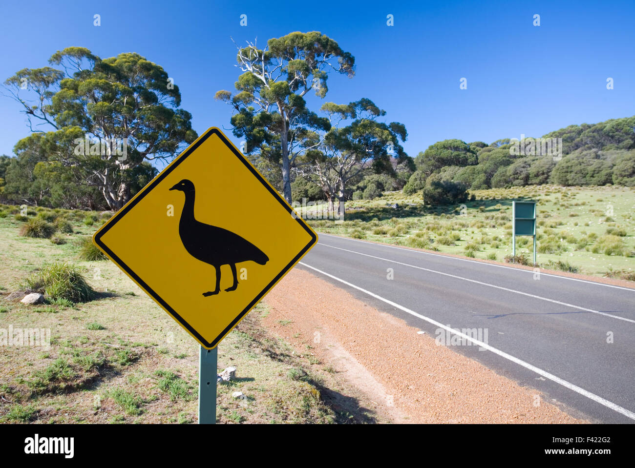 Cape sterile Goose cartello stradale Foto Stock
