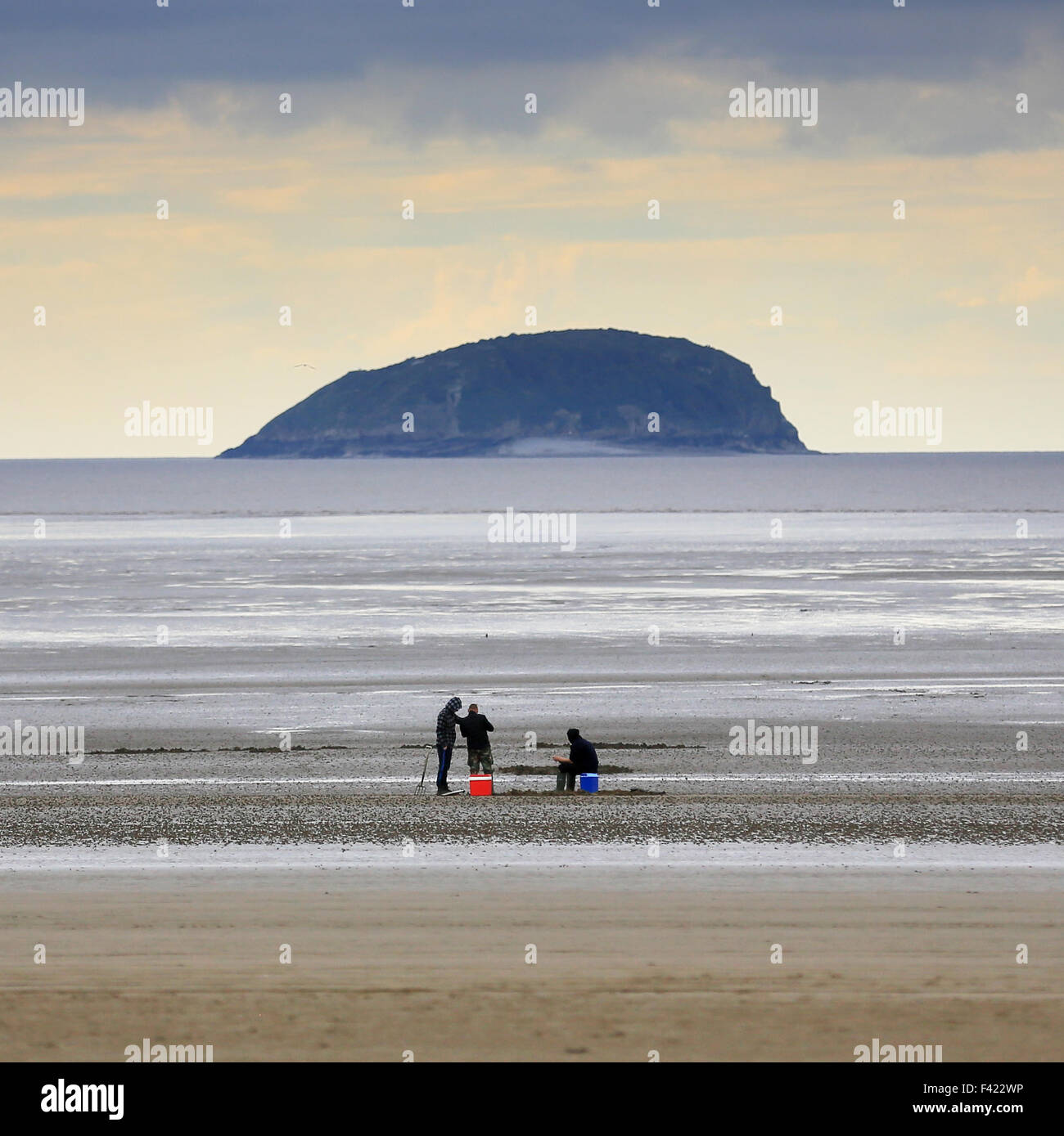 3 Gli uomini di scavare per esche a Weston-super-Mare, Somerset, Canale di Bristol, Regno Unito; ripide Holm isola in background. Foto Stock