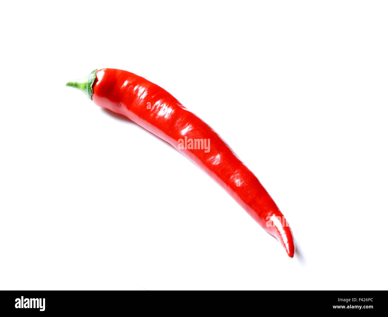 Long red hot pepper shiny su sfondo bianco Foto Stock