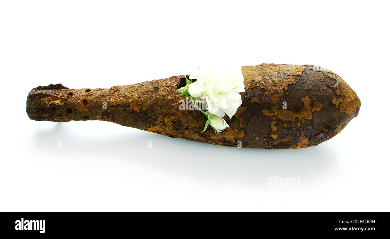 Vintage arrugginito bomba aerea shot shell proiettile II guerra mondiale è esplosa con fiori nel nel foro su bianco Foto Stock