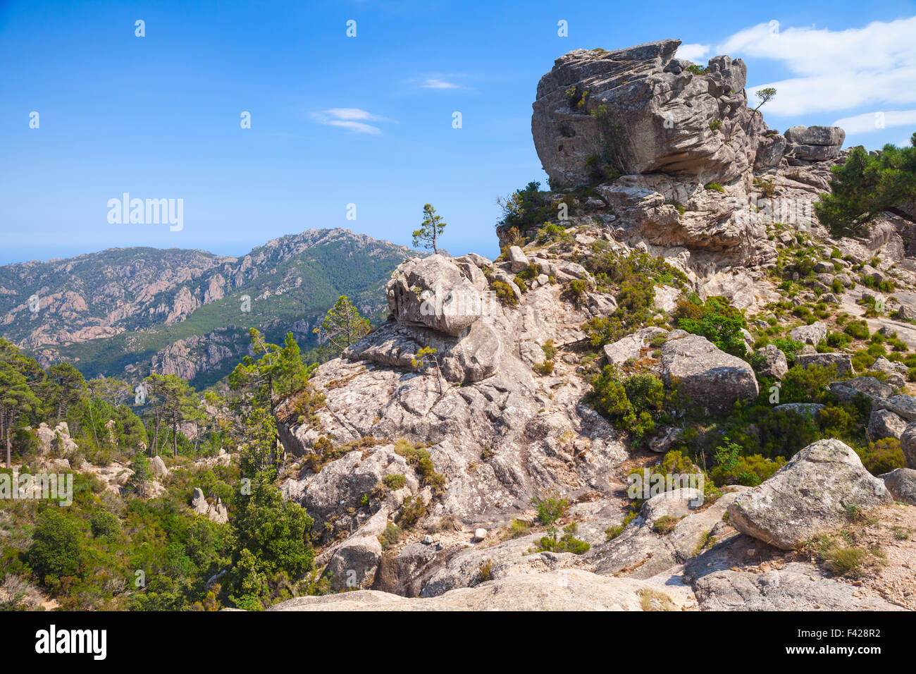 Selvaggio paesaggio di montagna con piccoli alberi di pino che cresce su rocce. La parte sud della Corsica, Francia Foto Stock