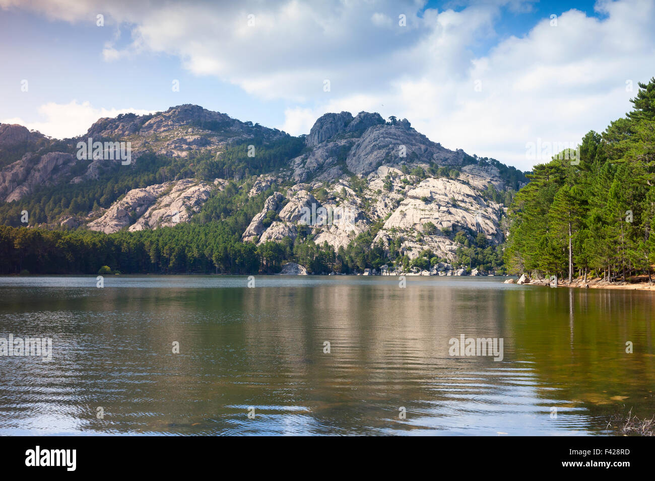 Paesaggio selvaggio con ancora il lago e le montagne sullo sfondo. La Corsica, Francia, Ospedale lago Foto Stock