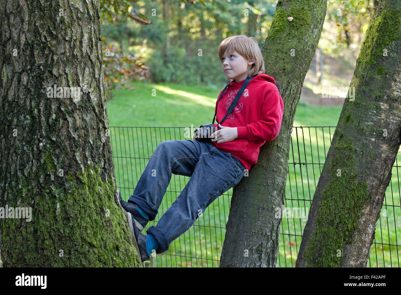 Ritratto di un giovane ragazzo con una telecamera squatting in una struttura ad albero Foto Stock