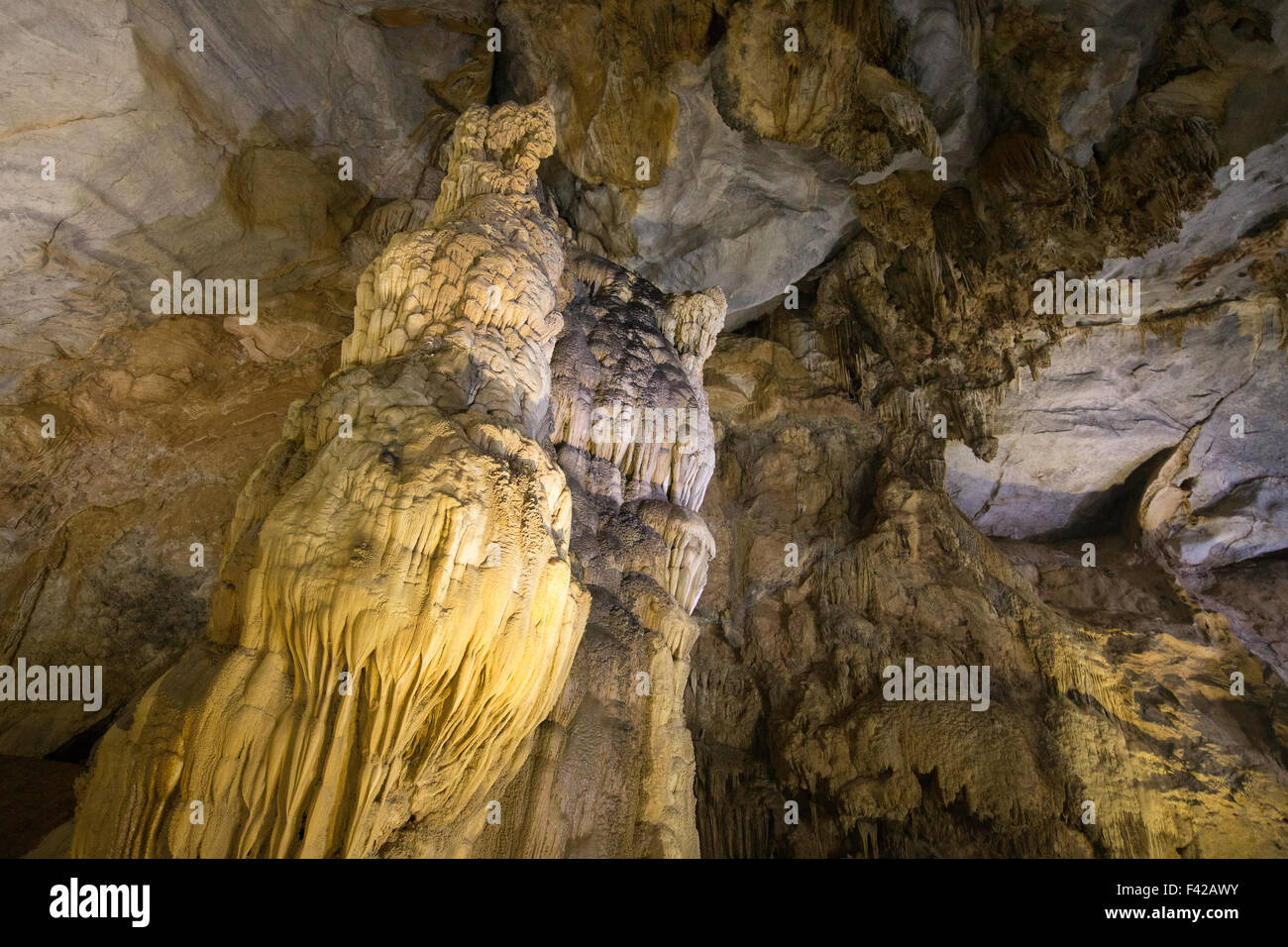 Paradise Grotta, Phong Nha-Kẻ Bàng è un parco nazionale e Patrimonio mondiale dell UNESCO, Quảng Bình Provincia, Vietnam Foto Stock