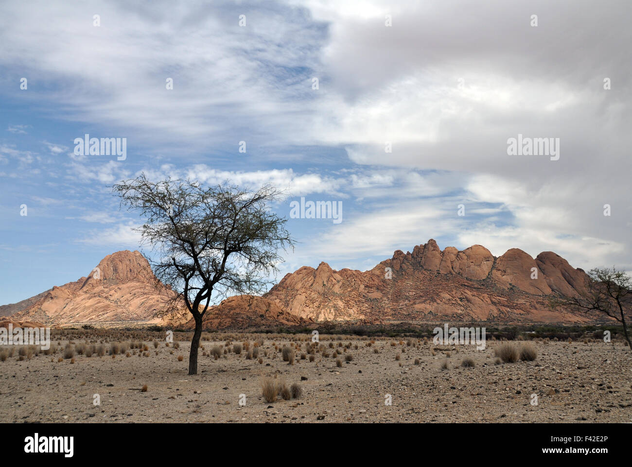 Deserto del Namib in Namibia Foto Stock
