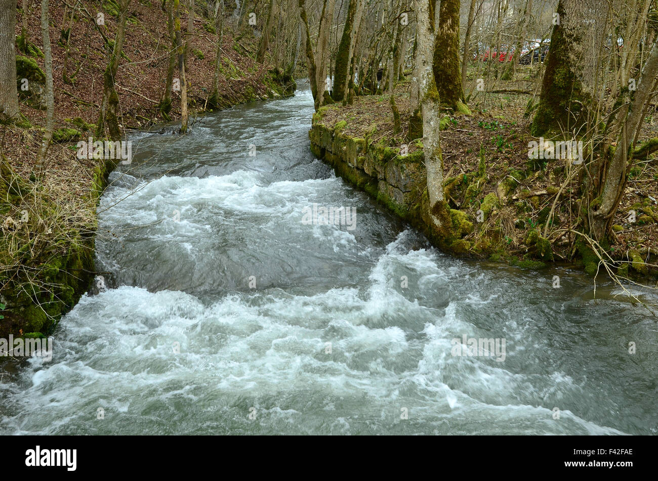 Creek; sveve; Germania; Foto Stock