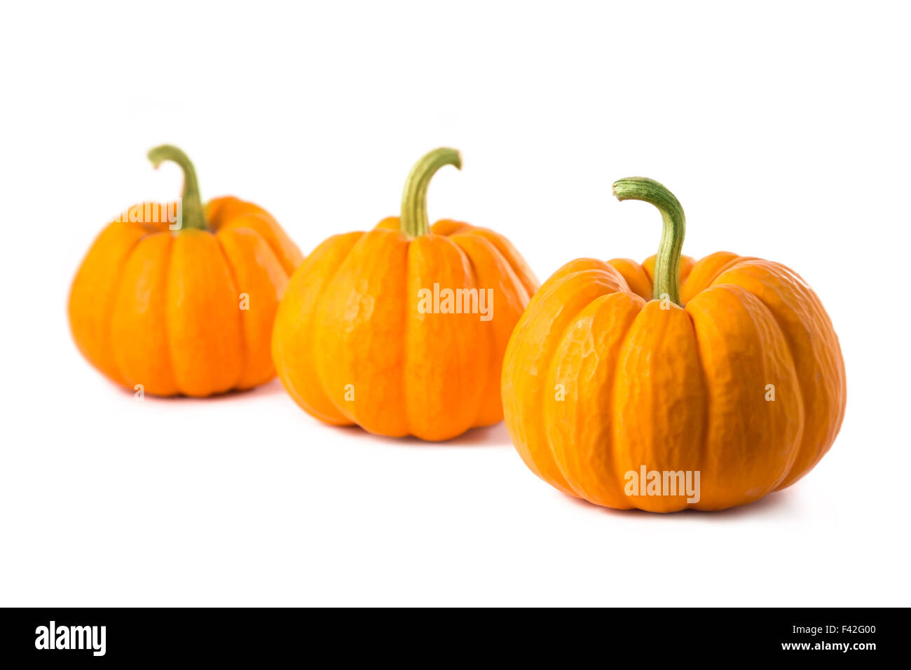 Fila di tre piccole zucche, isolati su sfondo bianco Foto Stock