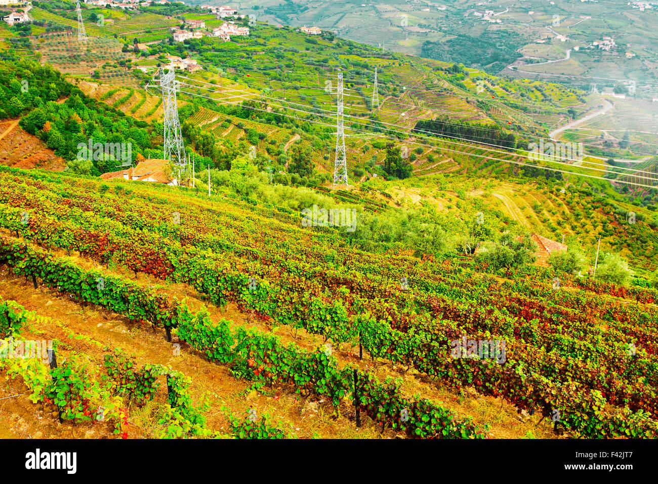 Paesaggio portoghese Foto Stock