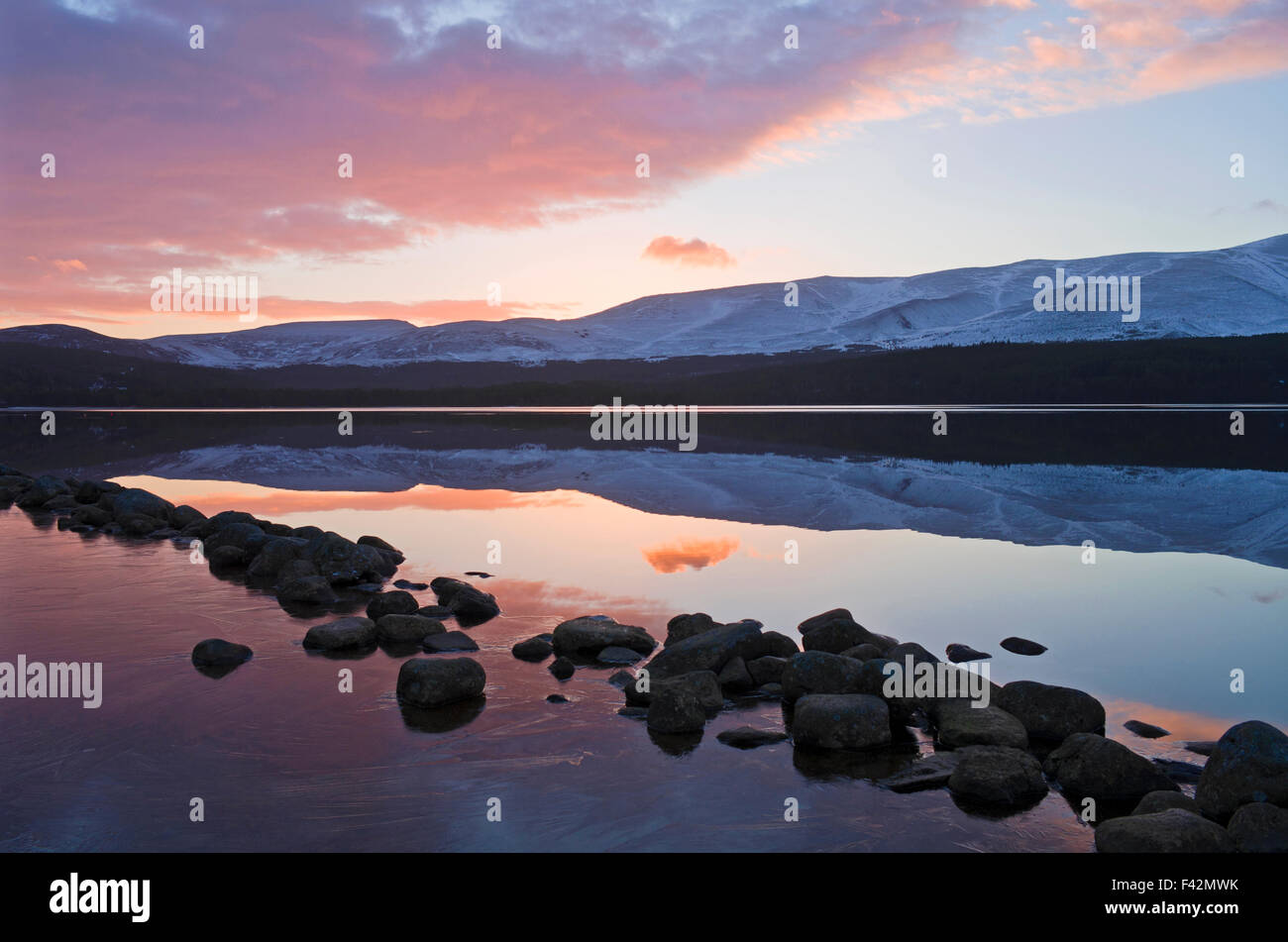 Bellissima alba d'inverno, Loch Morlich, Cairngorms riflette ancora in acqua, Highlands scozzesi, Scotland Regno Unito Foto Stock