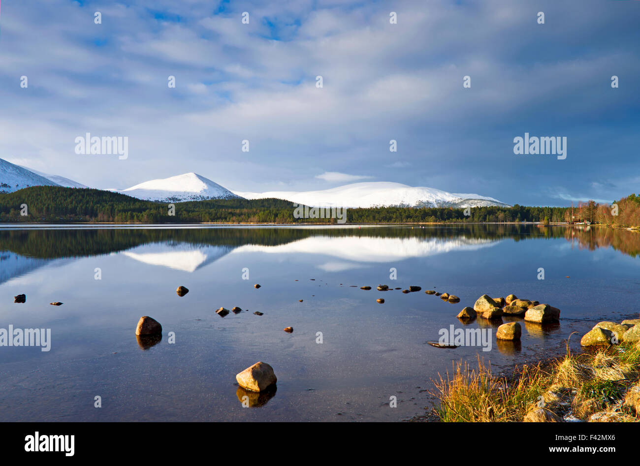 Snowy Carn Eilrig riflessa nelle calme acque del Loch Morlich, inverno, Cairngorms Highlands scozzesi, Scotland Regno Unito Foto Stock
