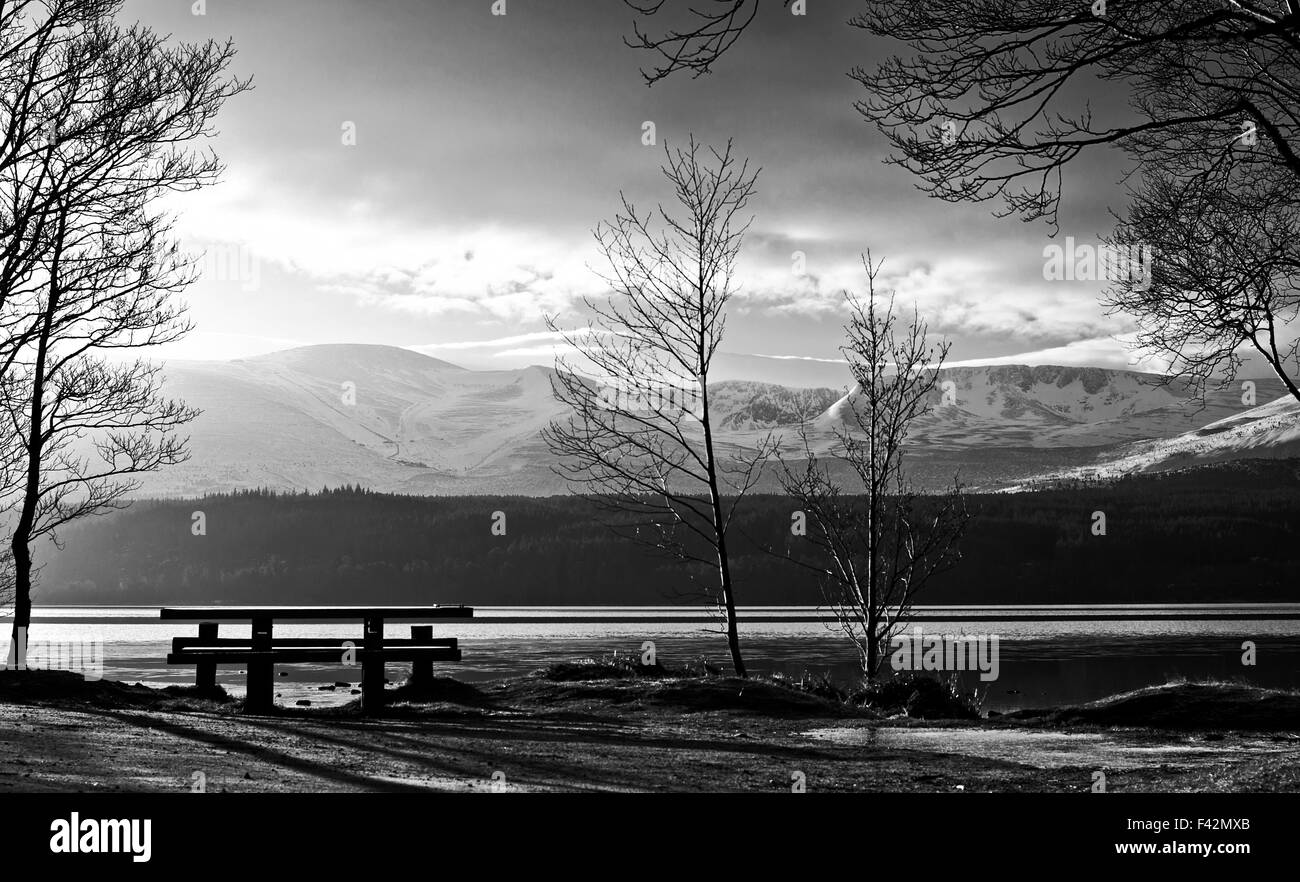 Vista da un'area pic-nic da Loch Morlich al coperto di neve Cairngorm ed il Northern Corries, inverno, la mattina presto, Scotland Regno Unito Foto Stock