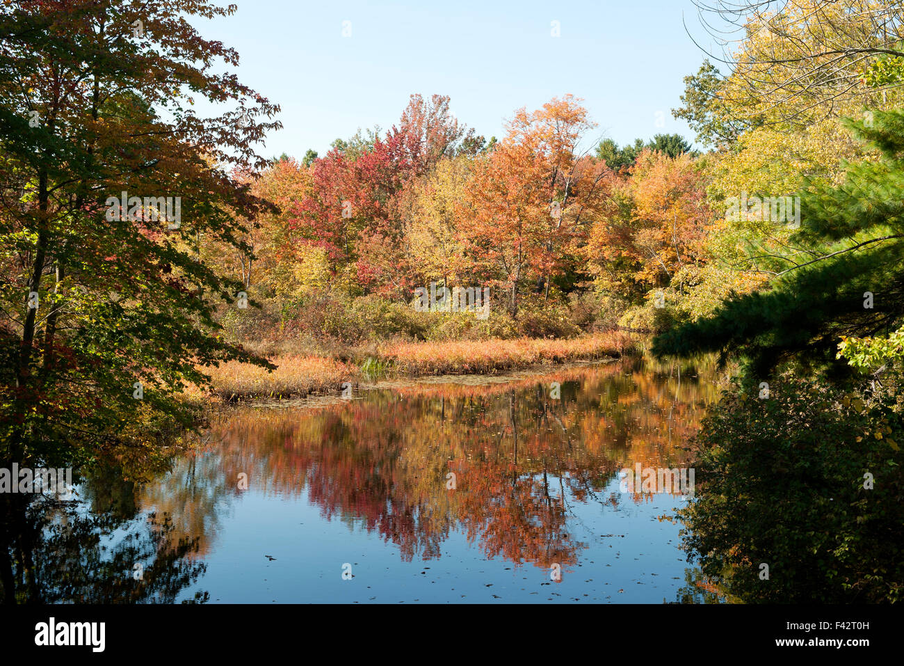 Tranquillo Lago in autunno Foto Stock