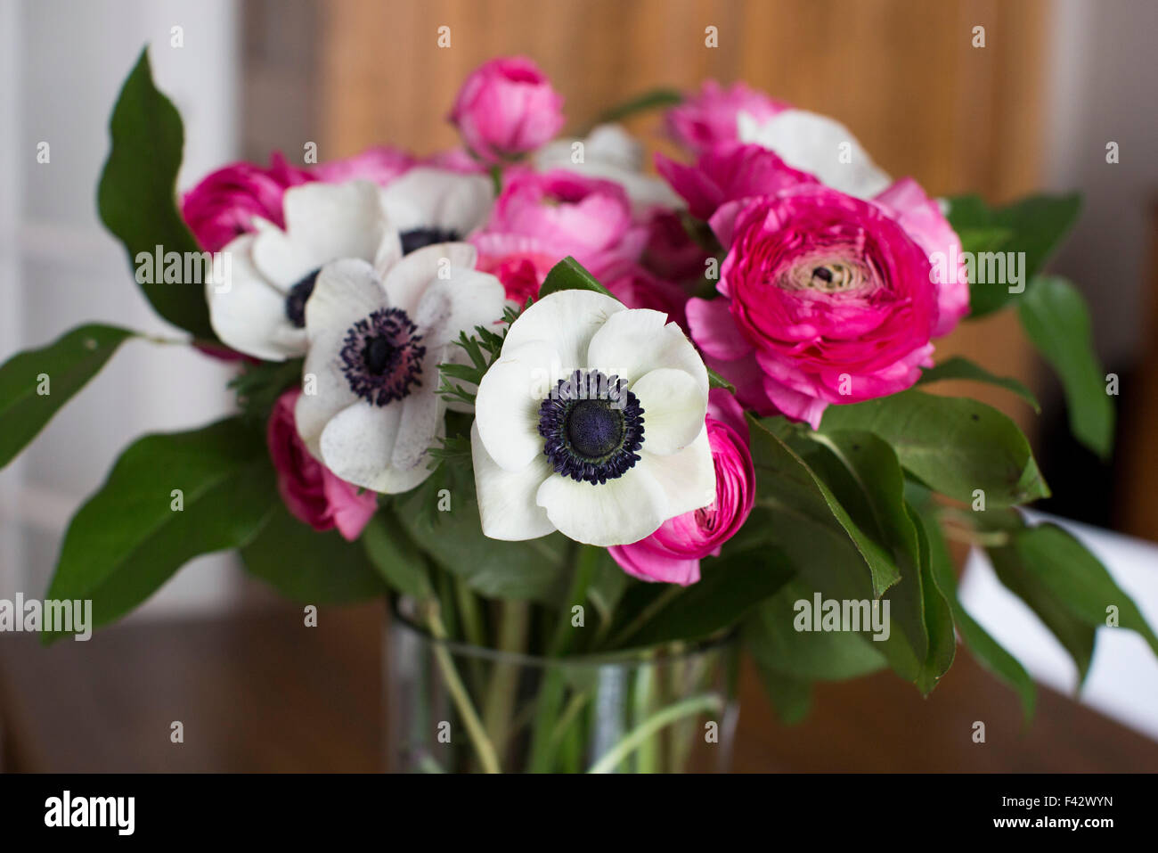 Anemone e ranunculus fiori in vaso Foto Stock