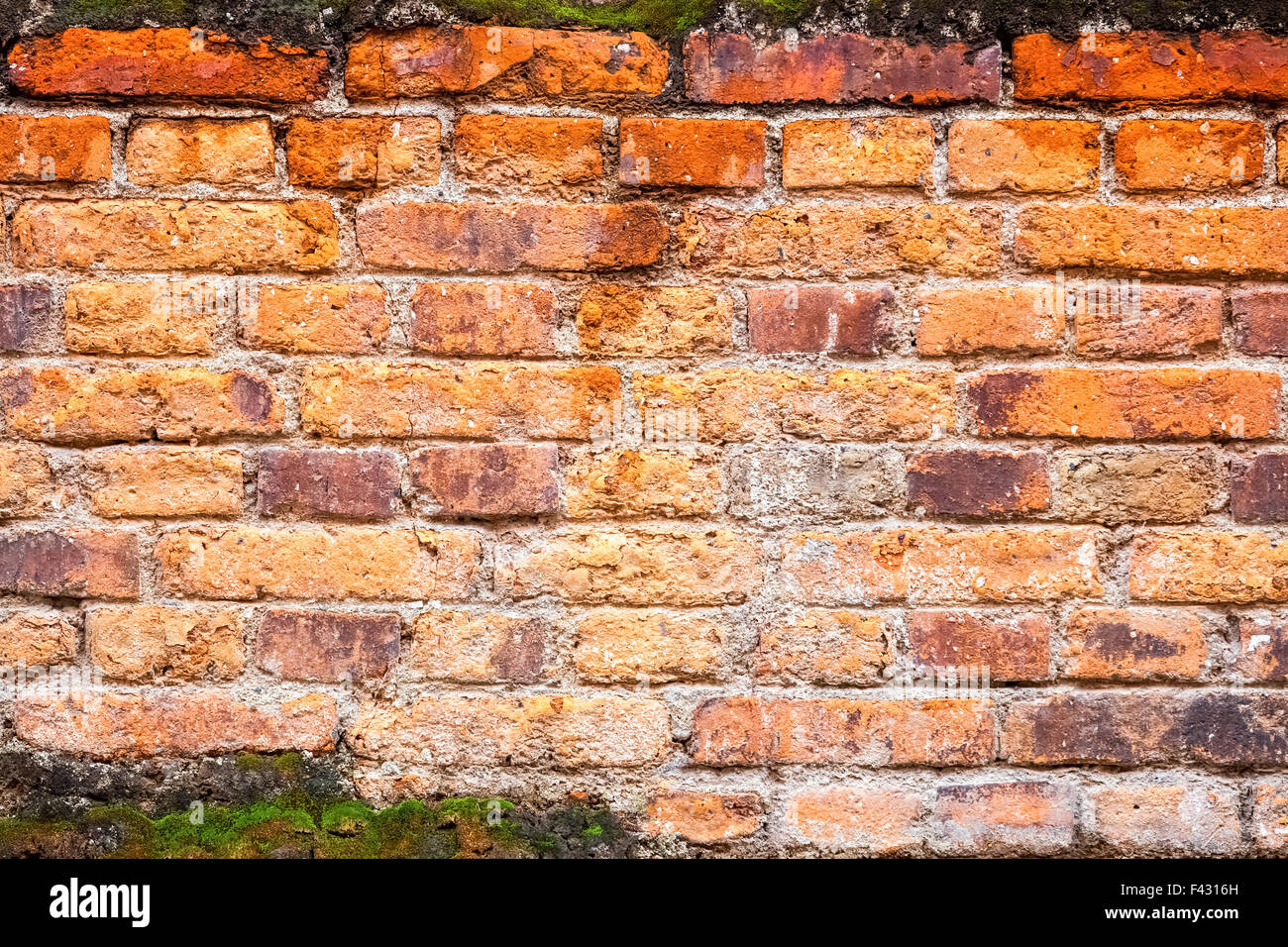 Rosso vecchio muro di mattoni closeup Foto Stock