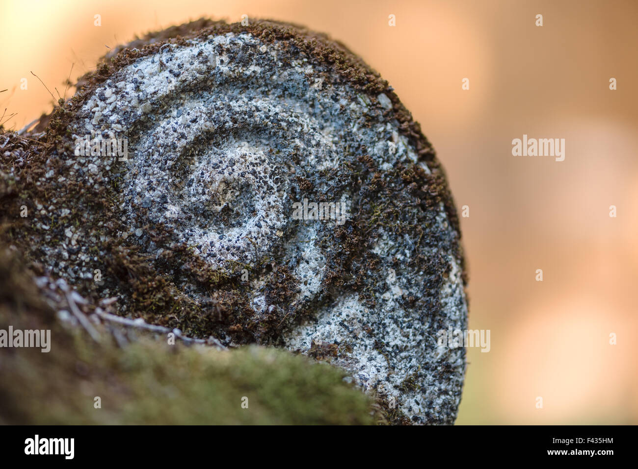 Una roccia scolpita per essere conformato a spirale ricoperto di moss con un arancione liscia al di fuori della messa a fuoco lo sfondo. Foto Stock