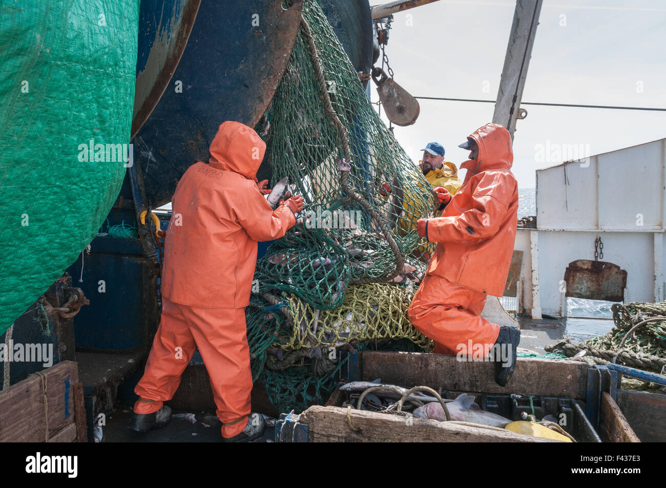 Pulizia del pesce fuori dragger/trawler net. Georges Bank, New England Foto Stock