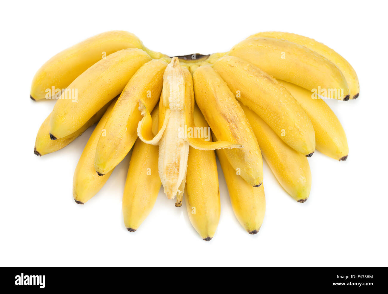 Grappolo di banane con aprire uno Foto Stock Grappolo di banane con aprire uno Foto Stock