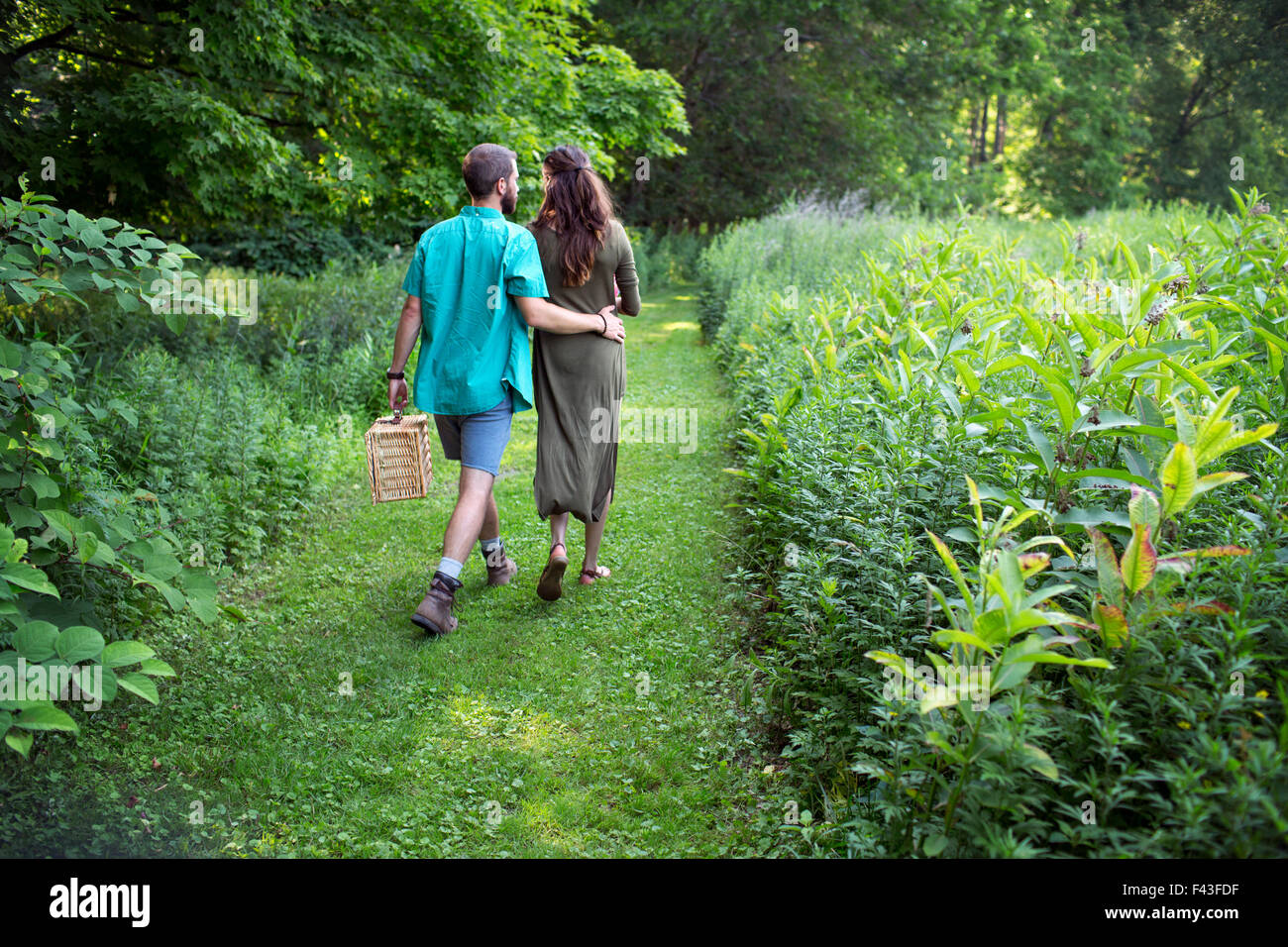 Un uomo e una donna a piedi attraverso un prato, attraverso l'erba lunga, portante un cestino da pic nic. Foto Stock